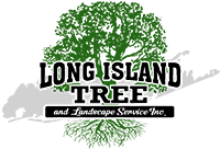 Long Island Tree Logo